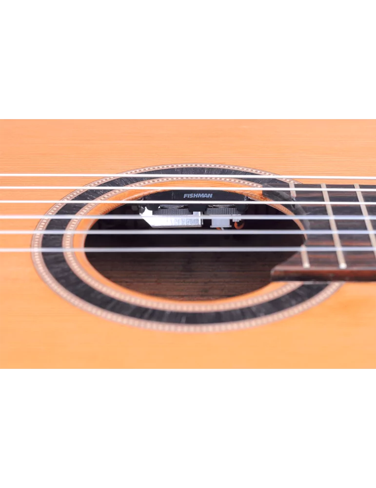 VALENCIA VC774TCE | MusicGoodDeal