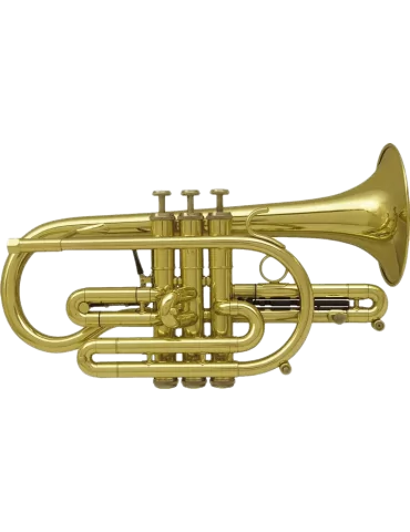 cd9e93f7e4ccf073e81ccdd2483cf539