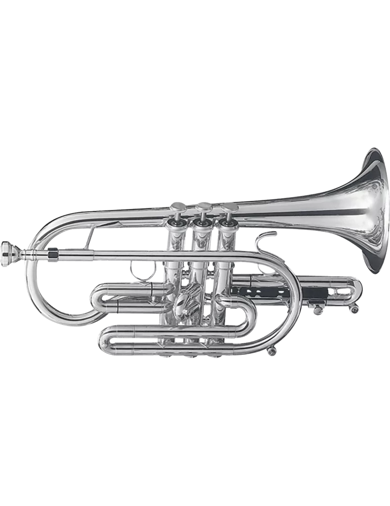  GETZEN 800S Bb - Silver plated brass|MusicGoodDeal 