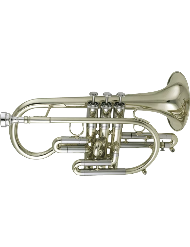  GETZEN 3810 C - Lacquered brass|MusicGoodDeal 