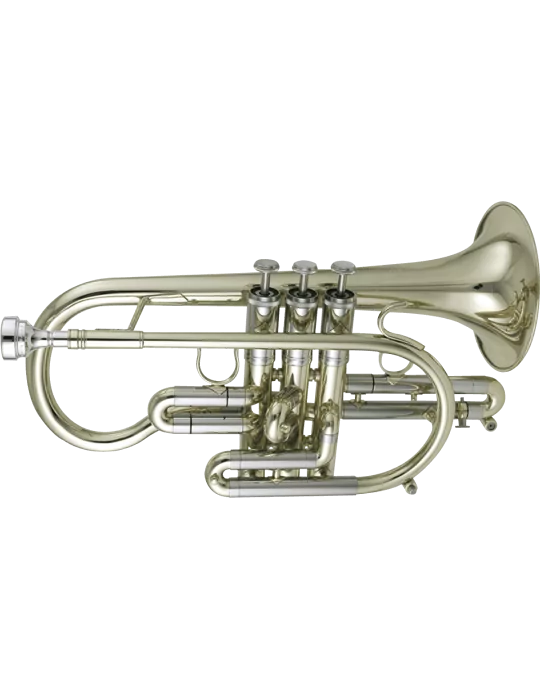  GETZEN 3810 C - Lacquered brass|MusicGoodDeal 