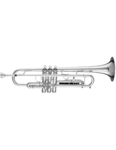  GETZEN 900 Bb - Lacquered brass|MusicGoodDeal 