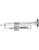  GETZEN 900 Bb - Lacquered brass|MusicGoodDeal 