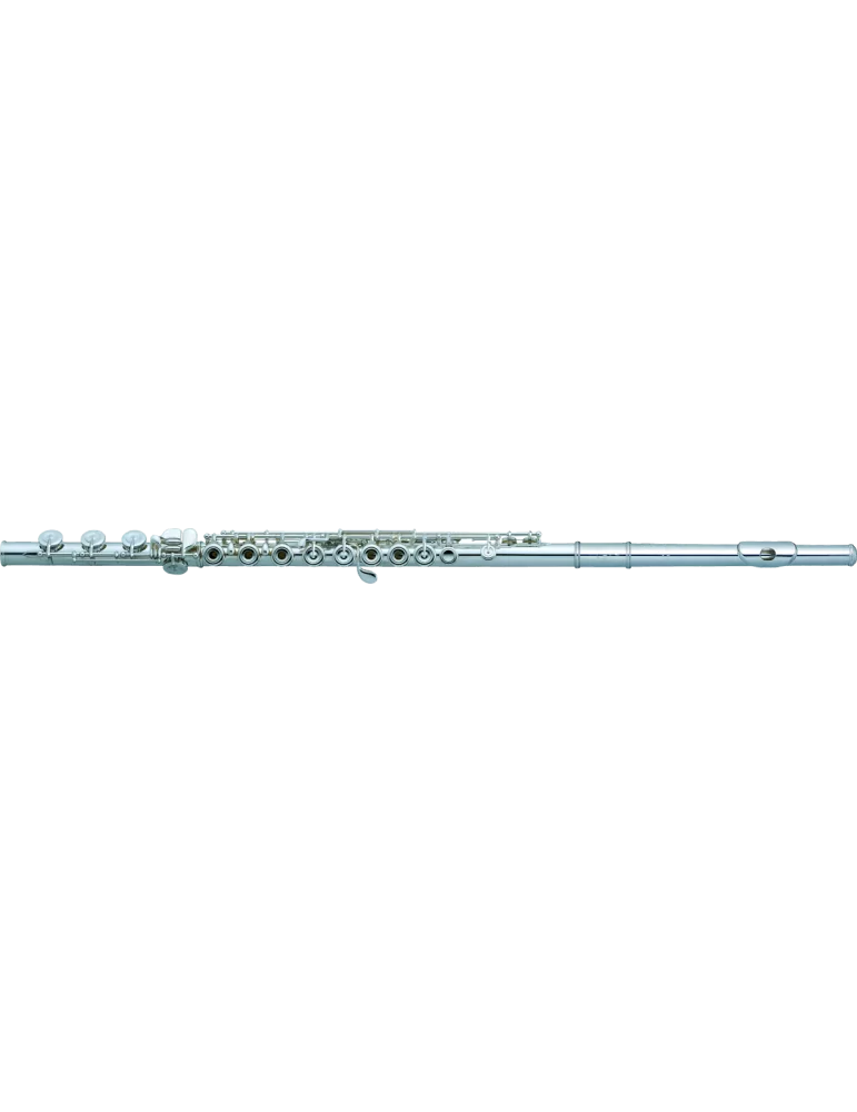 PEARL FLUTE 695RB | MusicGoodDeal