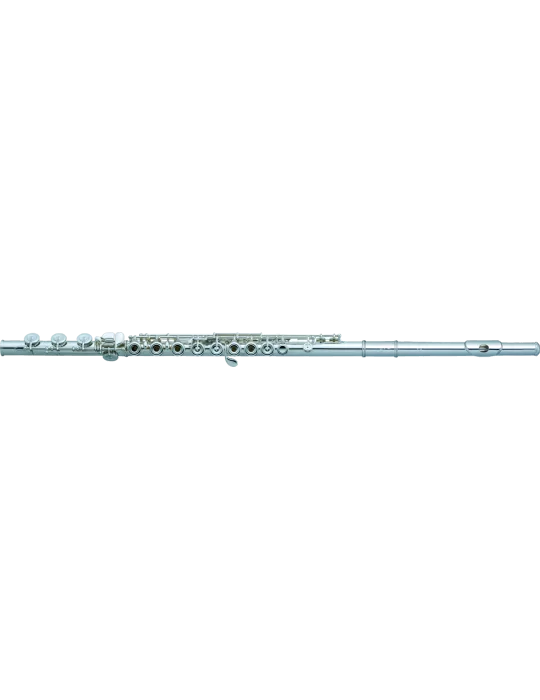 PEARL FLUTE 695RB | MusicGoodDeal