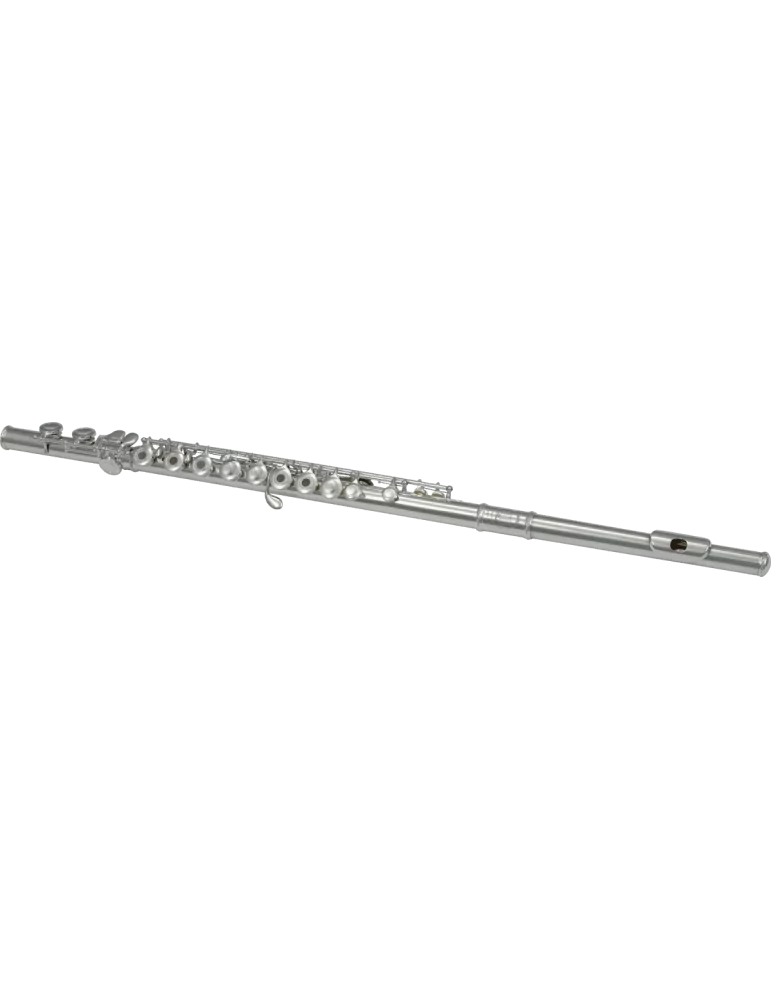  SML PARIS FL300R Ut - Hollow trays, in-line|MusicGoodDeal 