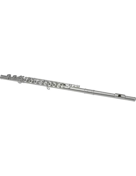  SML PARIS FL300R Ut - Hollow trays, in-line|MusicGoodDeal 