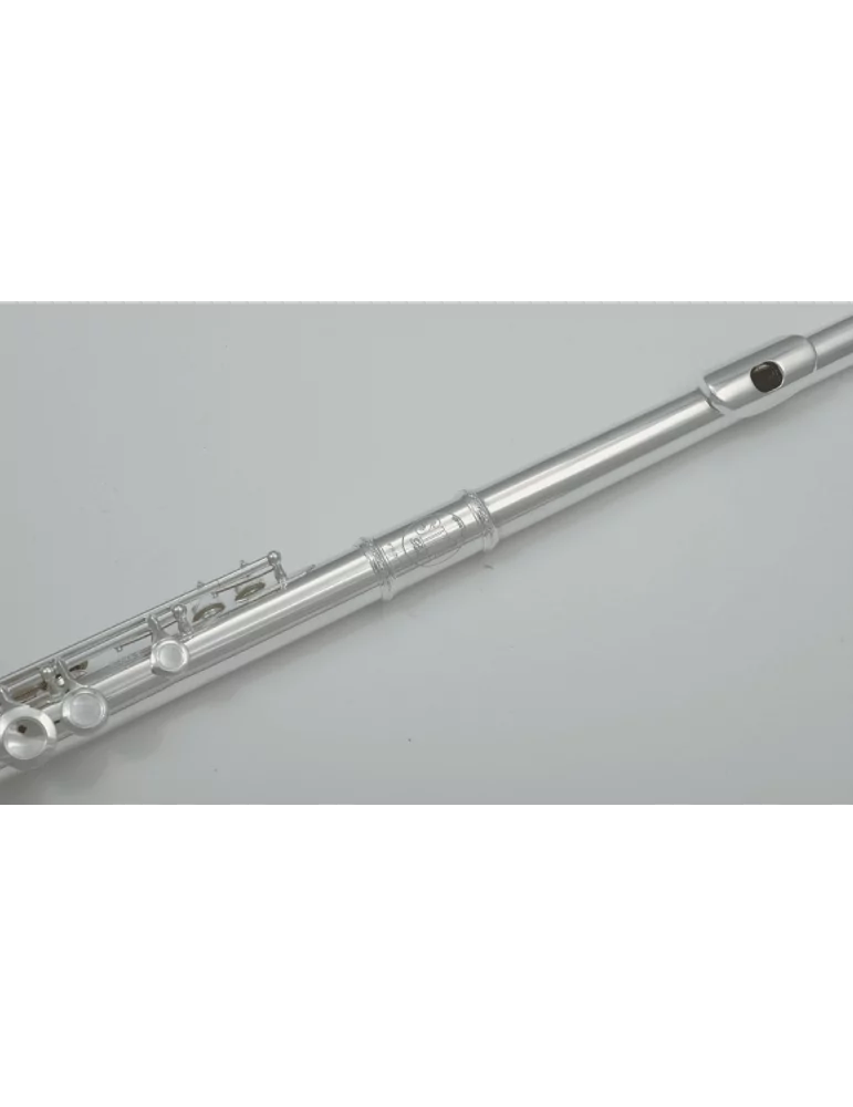  SML PARIS FL300R Ut - Hollow trays, in-line|MusicGoodDeal 