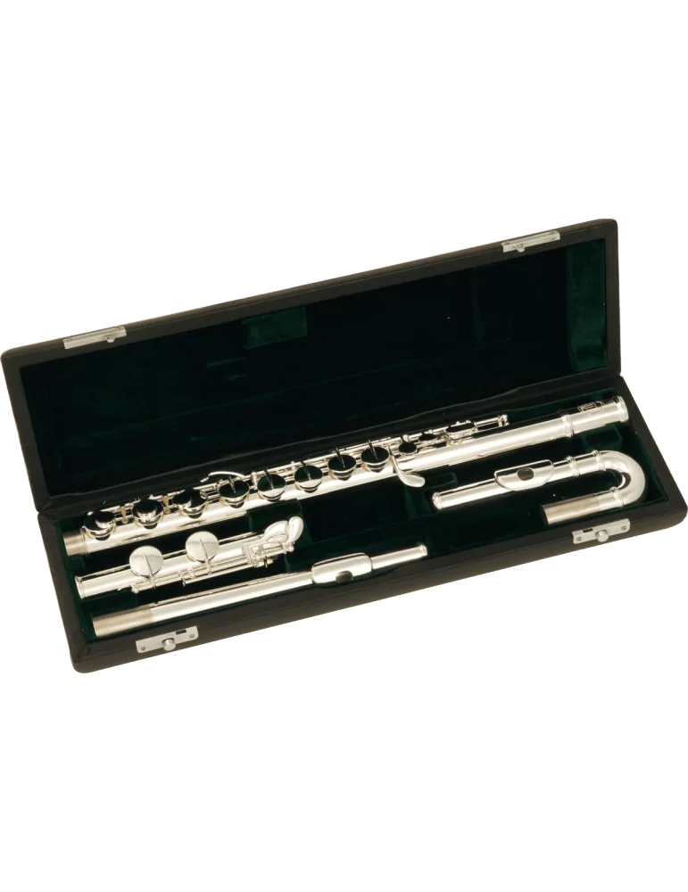  SML PARIS AFL200 GOLD - Head straight + head bent|MusicGoodDeal 