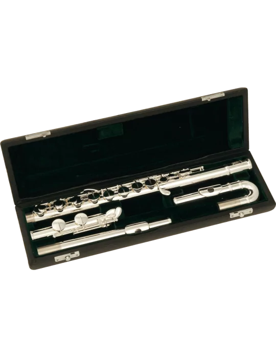  SML PARIS AFL200 GOLD - Head straight + head bent|MusicGoodDeal 
