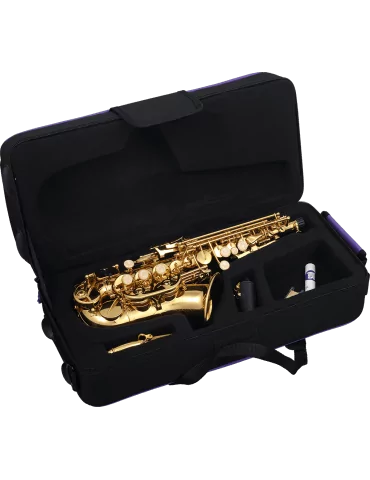  SML PARIS SC620 Lacquered brass|MusicGoodDeal  2