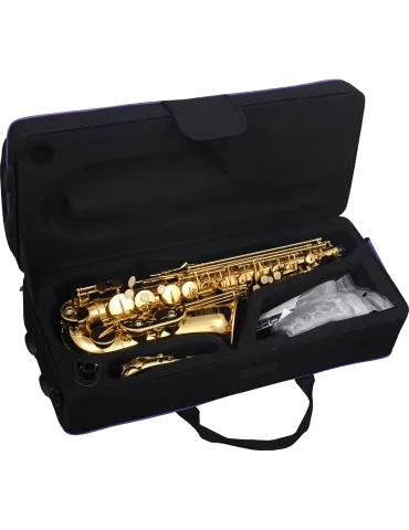  SML PARIS A420-II Lacquered brass|MusicGoodDeal  2