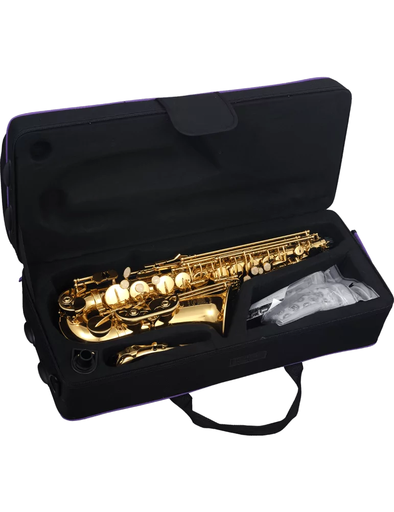  SML PARIS A420-II Latón lacado|MusicGoodDeal 