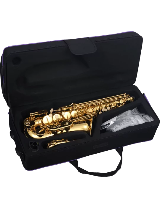  SML PARIS A420-II Latón lacado|MusicGoodDeal 