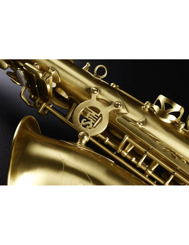  SML PARIS A420-II-BM MiB - Estudiante de Saxofón Mib, Cepillado y barnizado|MusicGoodDeal 