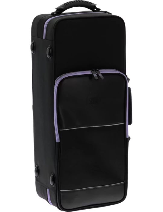  SML PARIS A420-II-BM MiB - Estudiante de Saxofón Mib, Cepillado y barnizado|MusicGoodDeal 
