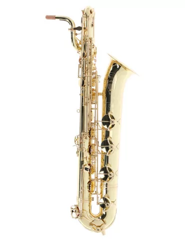 SML PARIS B420 | MusicGoodDeal
