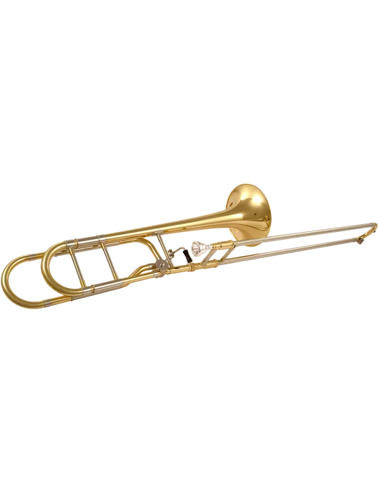 SML PARIS TB500-BF | MusicGoodDeal