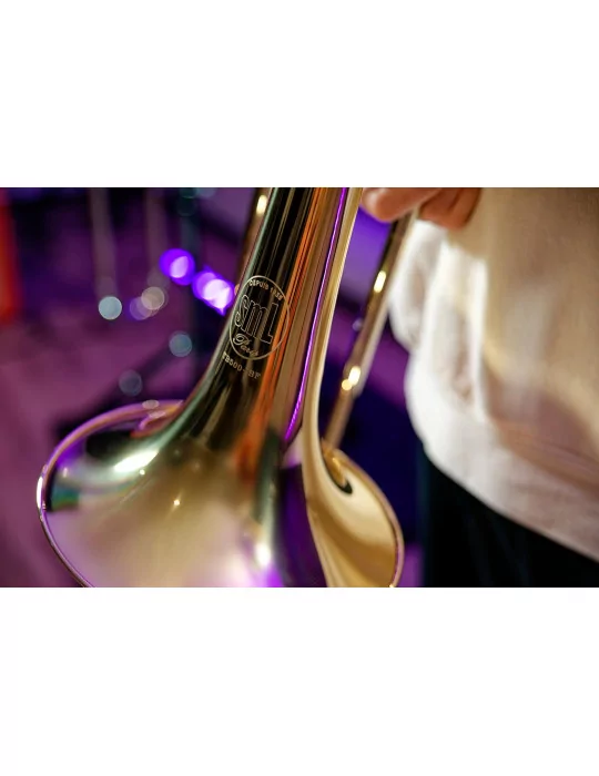 SML PARIS TB500-BF | MusicGoodDeal