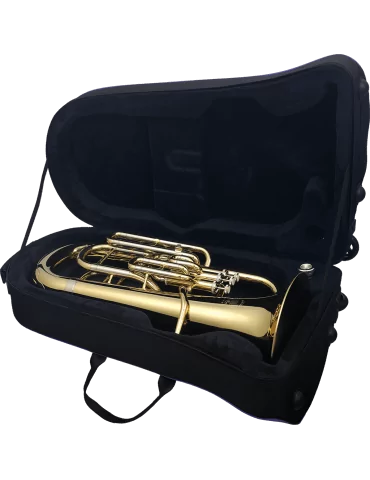  SML PARIS EU50 Lacquered brass|MusicGoodDeal  2