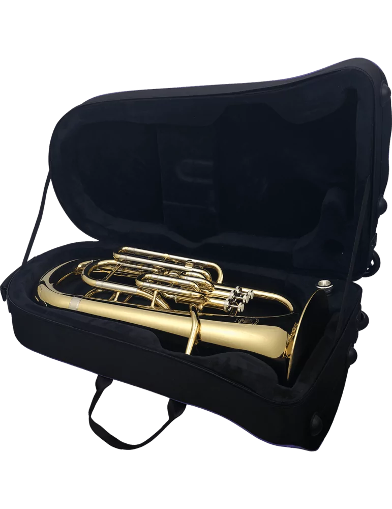  SML PARIS EU50 Lacquered brass|MusicGoodDeal 