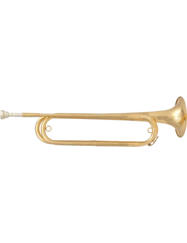  SML PARIS FTPC61 Lacquered brass|MusicGoodDeal 