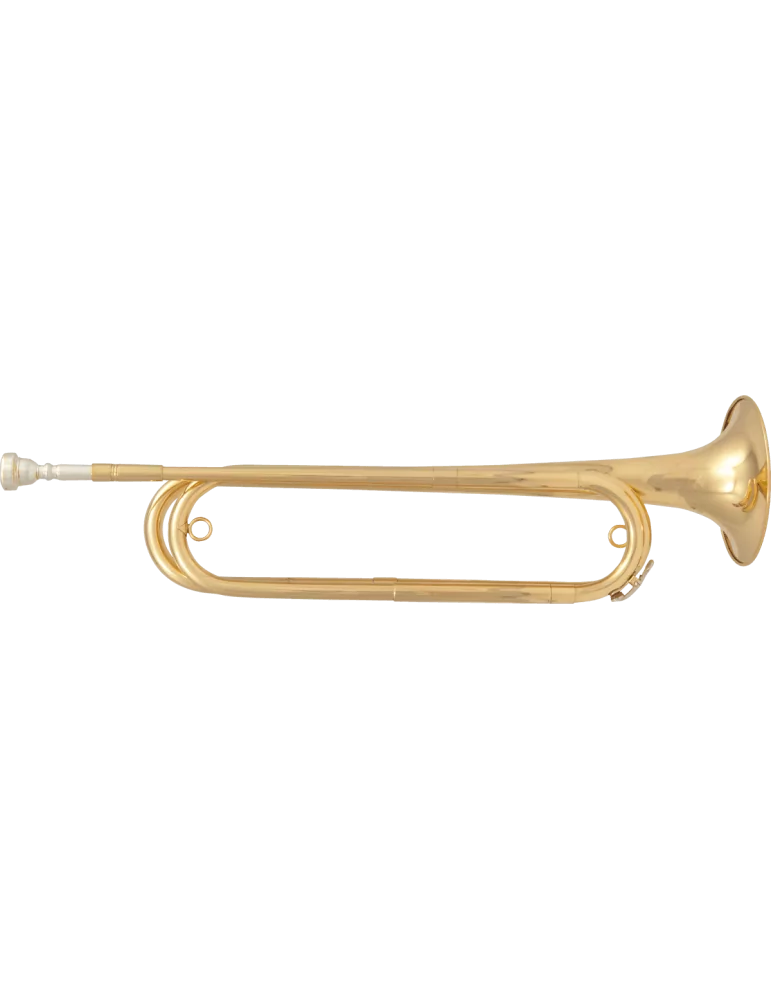  SML PARIS FTPC61 Latón lacado|MusicGoodDeal 