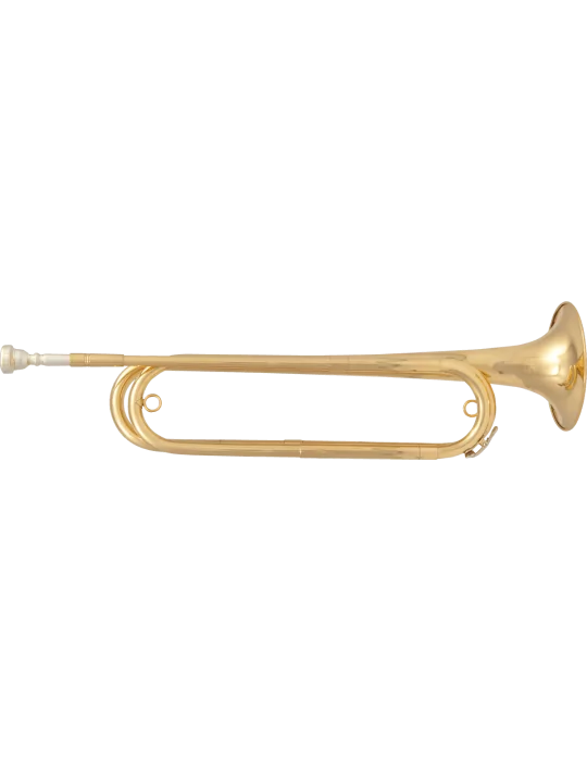  SML PARIS FTPC61 Latón lacado|MusicGoodDeal 