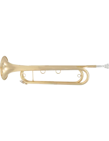  SML PARIS FTPC91-L Lacquered brass|MusicGoodDeal 