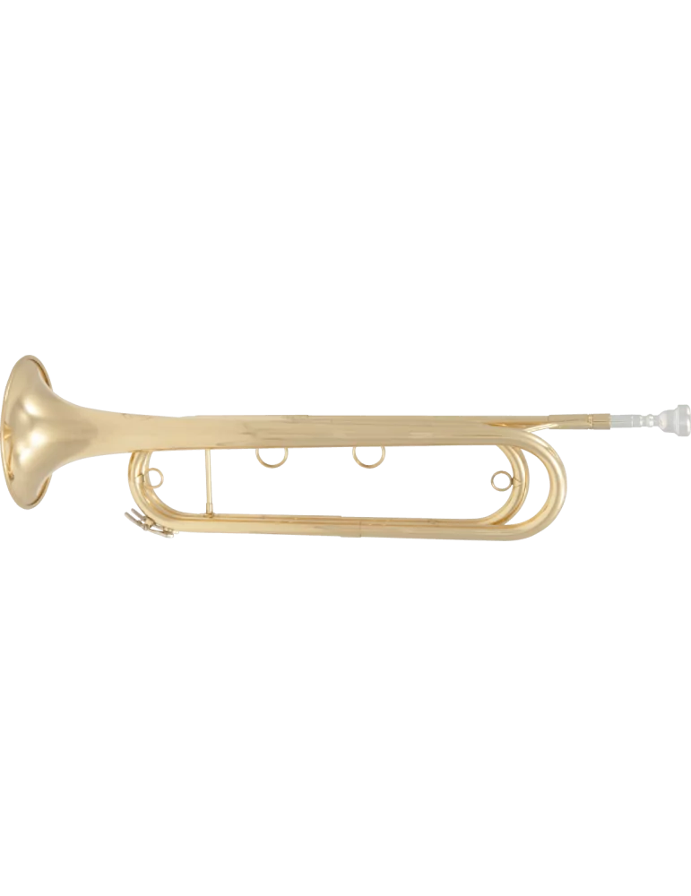  SML PARIS FTPC91-L Lacquered brass|MusicGoodDeal 