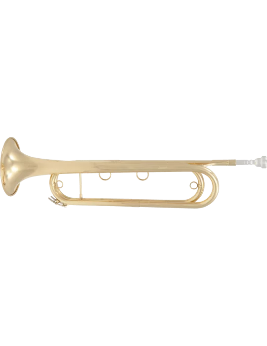 SML PARIS FTPC91-L Lacquered brass|MusicGoodDeal 