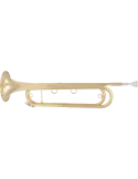  SML PARIS FTPC91-L Lacquered brass|MusicGoodDeal 