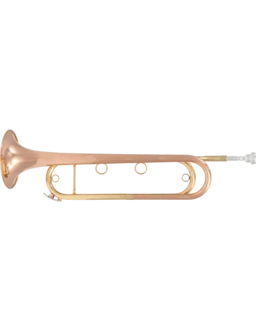  SML PARIS FTPC91-R Pink copper varnish|MusicGoodDeal 