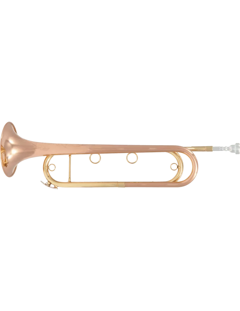  SML PARIS FTPC91-R Pink copper varnish|MusicGoodDeal 