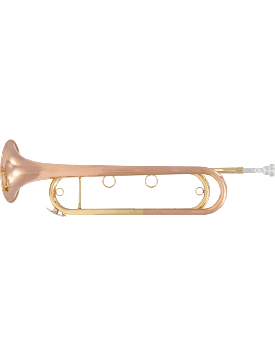  SML PARIS FTPC91-R Pink copper varnish|MusicGoodDeal 