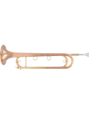 SML PARIS FTPC91-R Pink copper varnish|MusicGoodDeal 