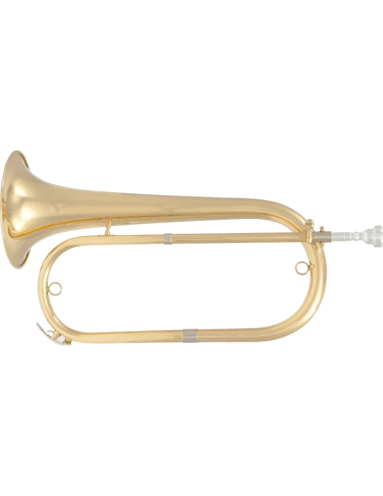  SML PARIS FCL90-L Latón lacado|MusicGoodDeal 