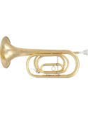 1c5eea8748cbc45ca045c33002ad06e4