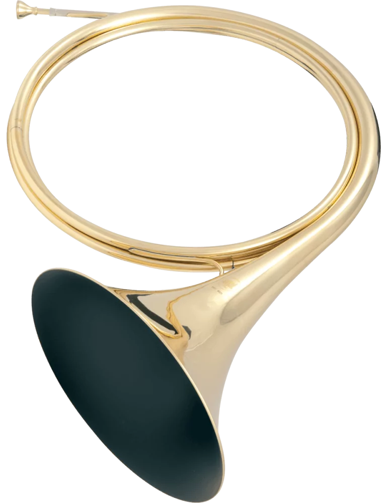  SML PARIS FFH82D Horn in D, lacquered brass|MusicGoodDeal 