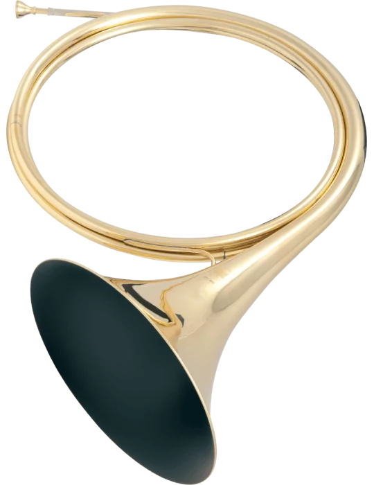  SML PARIS FFH82D Horn in D, lacquered brass|MusicGoodDeal 