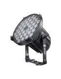 CLF LIGHTING SPECTRUM-P1 | MusicGoodDeal