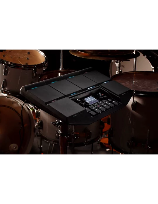 KORG MPS-10 | MusicGoodDeal