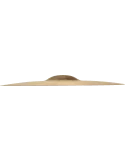 681552937c9ac38b96c2d3822a650004