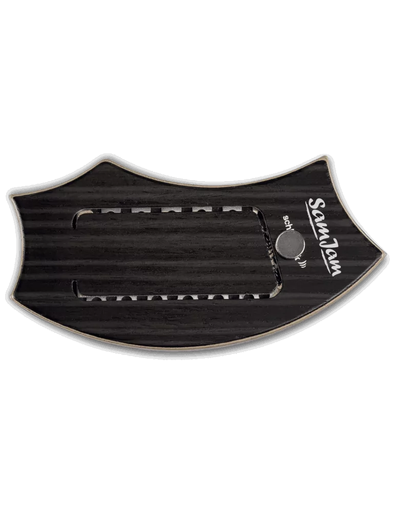  SCHLAGWERK SJ110HC Rayas de hulla|MusicGoodDeal 