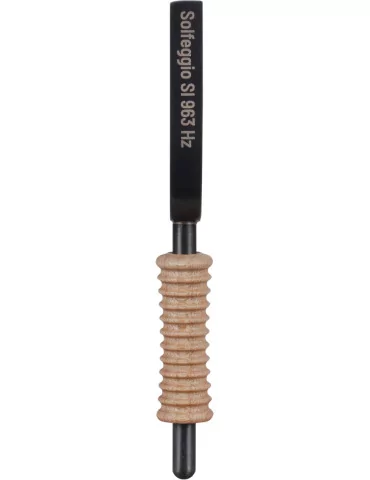 SCHLAGWERK STFS-SI | MusicGoodDeal