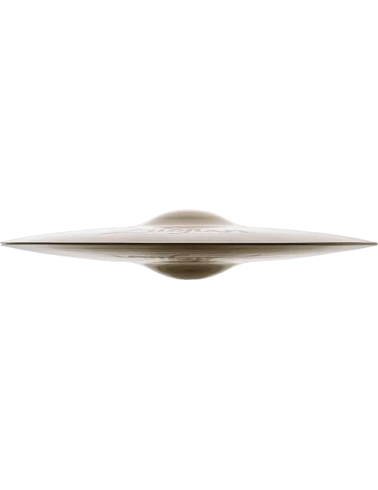  ZILDJIAN A20510 Sombreros (par) - 14|MusicGoodDeal 