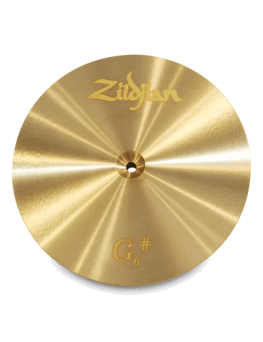 ZILDJIAN P0622GDIESE | MusicGoodDeal