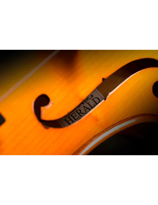  HERALD AS144 Any massif|MusicGoodDeal 