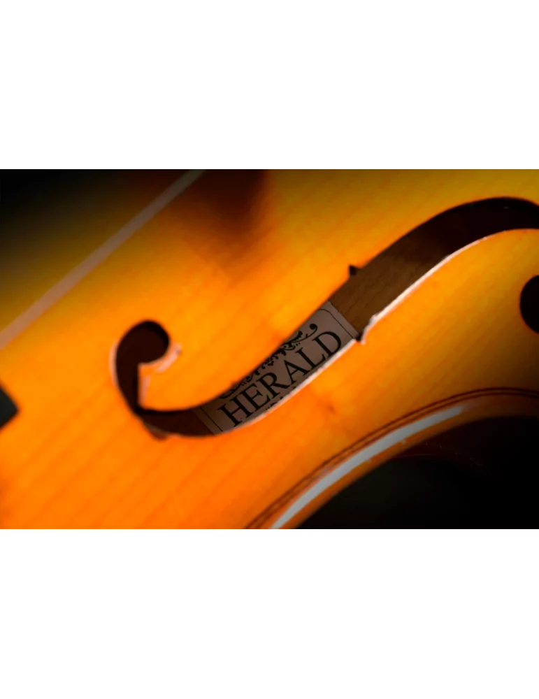  HERALD AS144-E All solid ebony touch|MusicGoodDeal 
