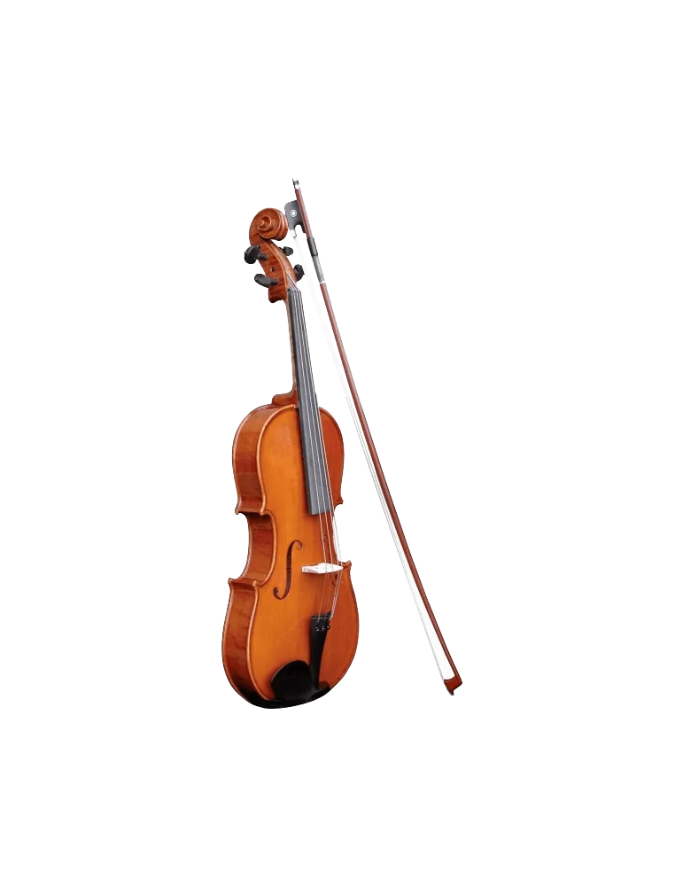  HERALD AS244 Any massif|MusicGoodDeal 